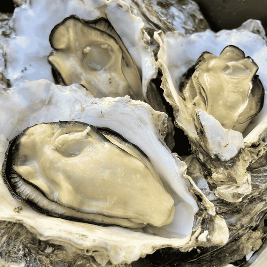 能登牡蠣・殻付牡蠣・必ず加熱調理してお召し上がりください。