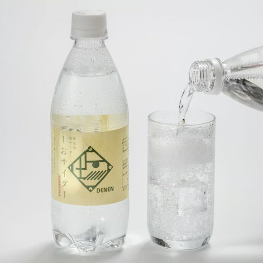 奥能登地サイダー・しおサイダー・ペットボトル・盛り付け例