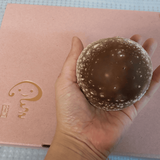 肉厚しいたけ16個入りギフトBOX