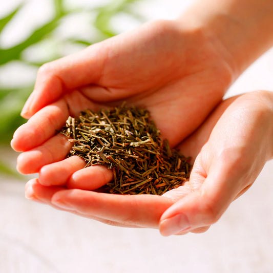 棒茶の茎の原材料紹介画像