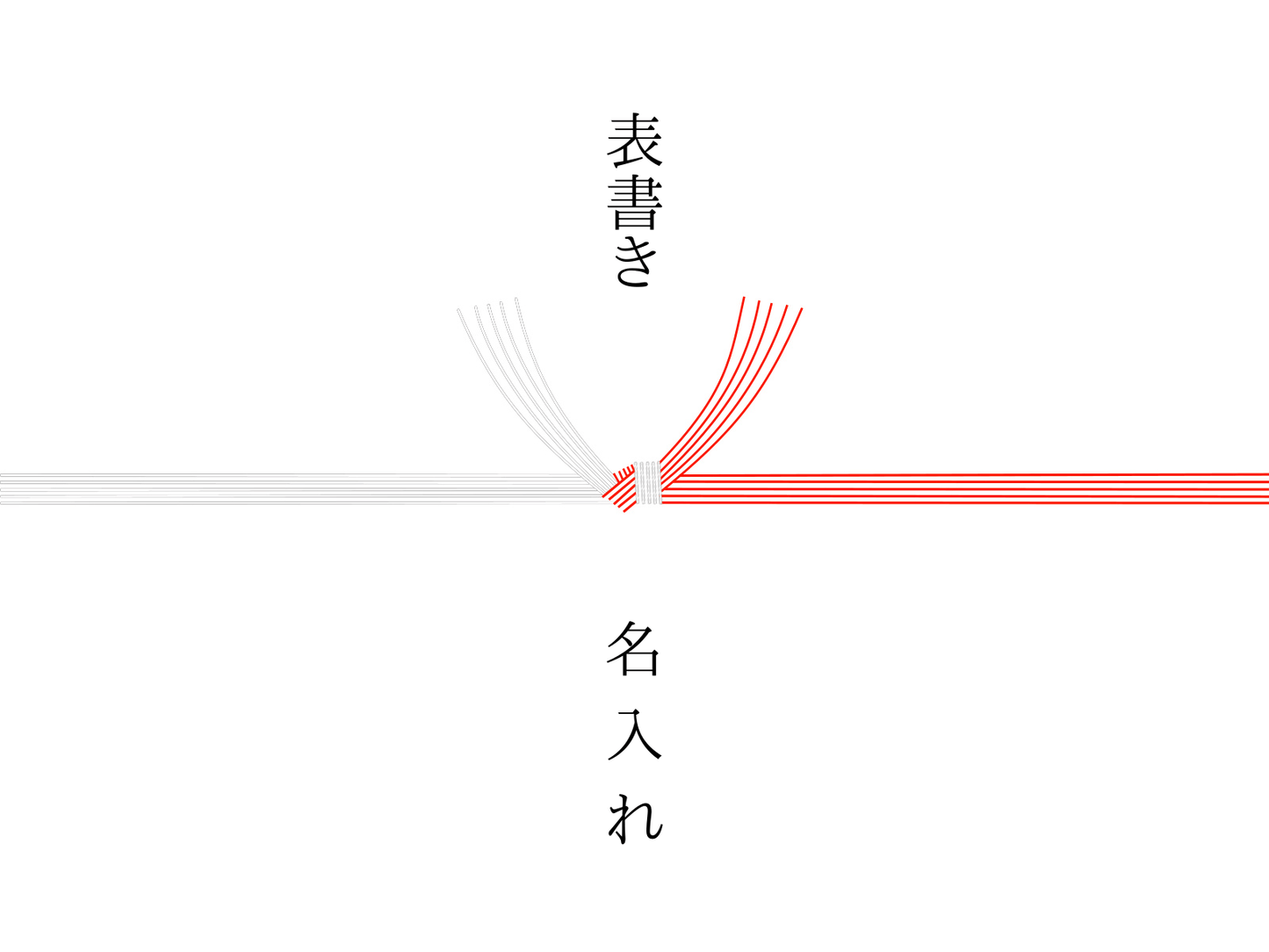 紅白水引・結び切り・熨斗なし