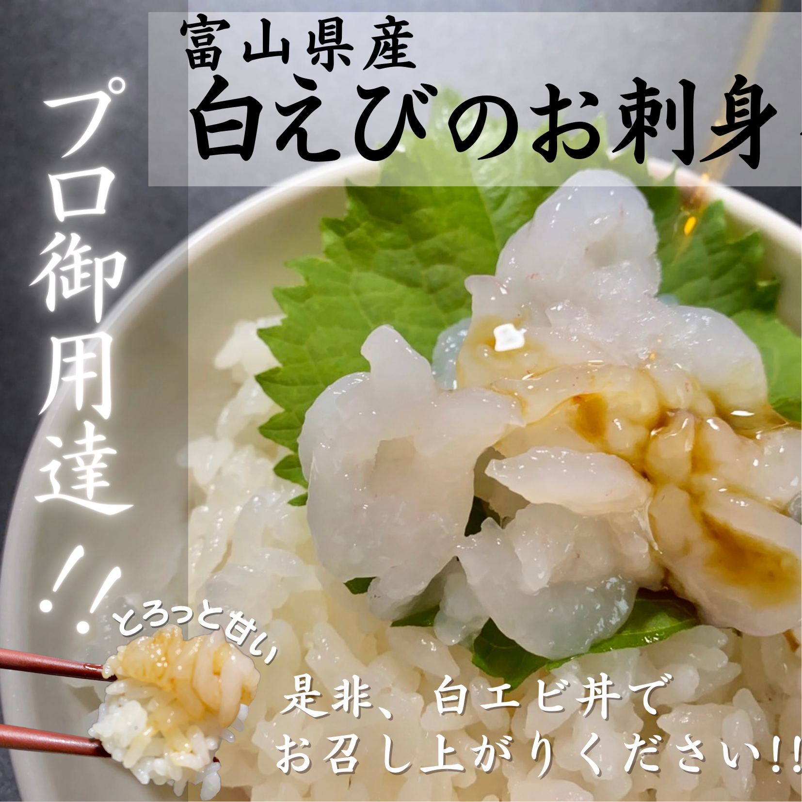 富山県産　白えびのお刺身　–　南谷良枝商店