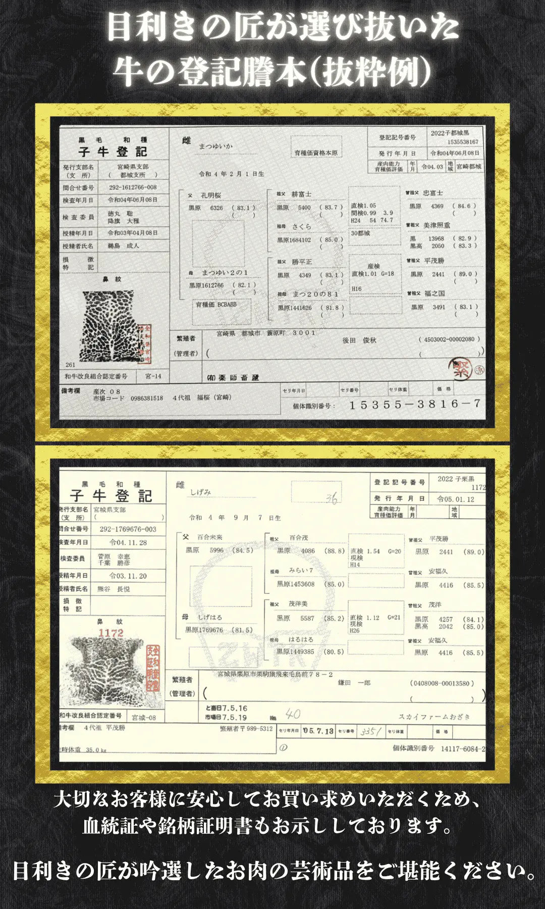 子牛登記・国産黒毛和牛の血統書・登記謄本です。安全で美味しいお肉だけを提供しています。