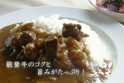 てらおか風舎の能登牛カレー・辛口・調理例