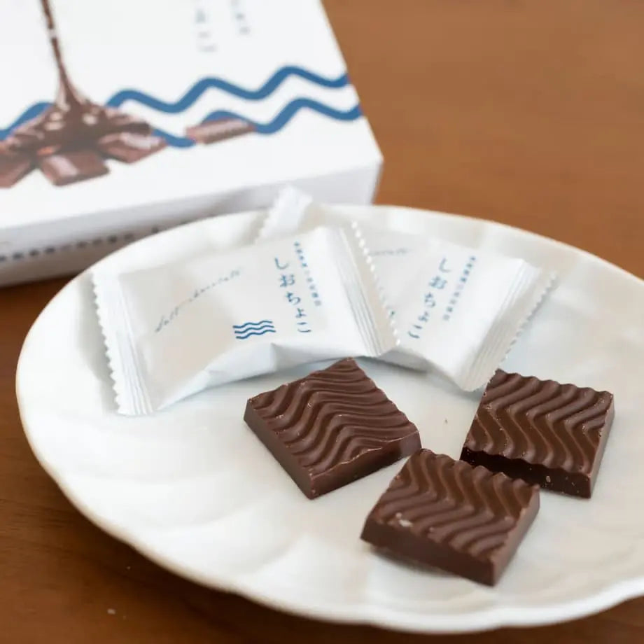 【しおちょこ】【能登塩】伝統の揚げ浜式塩法 海塩の旨みと芳醇なカカオの風味が絶妙のハーモニー【バレンタインデー】【プレゼント】