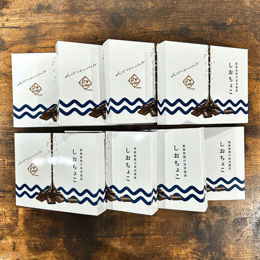 【しおちょこ】【８個入りギフトセット】伝統の揚げ浜式塩法 海塩の旨みと芳醇なカカオの風味が絶妙のハーモニー【バレンタインデー】【プレゼント】